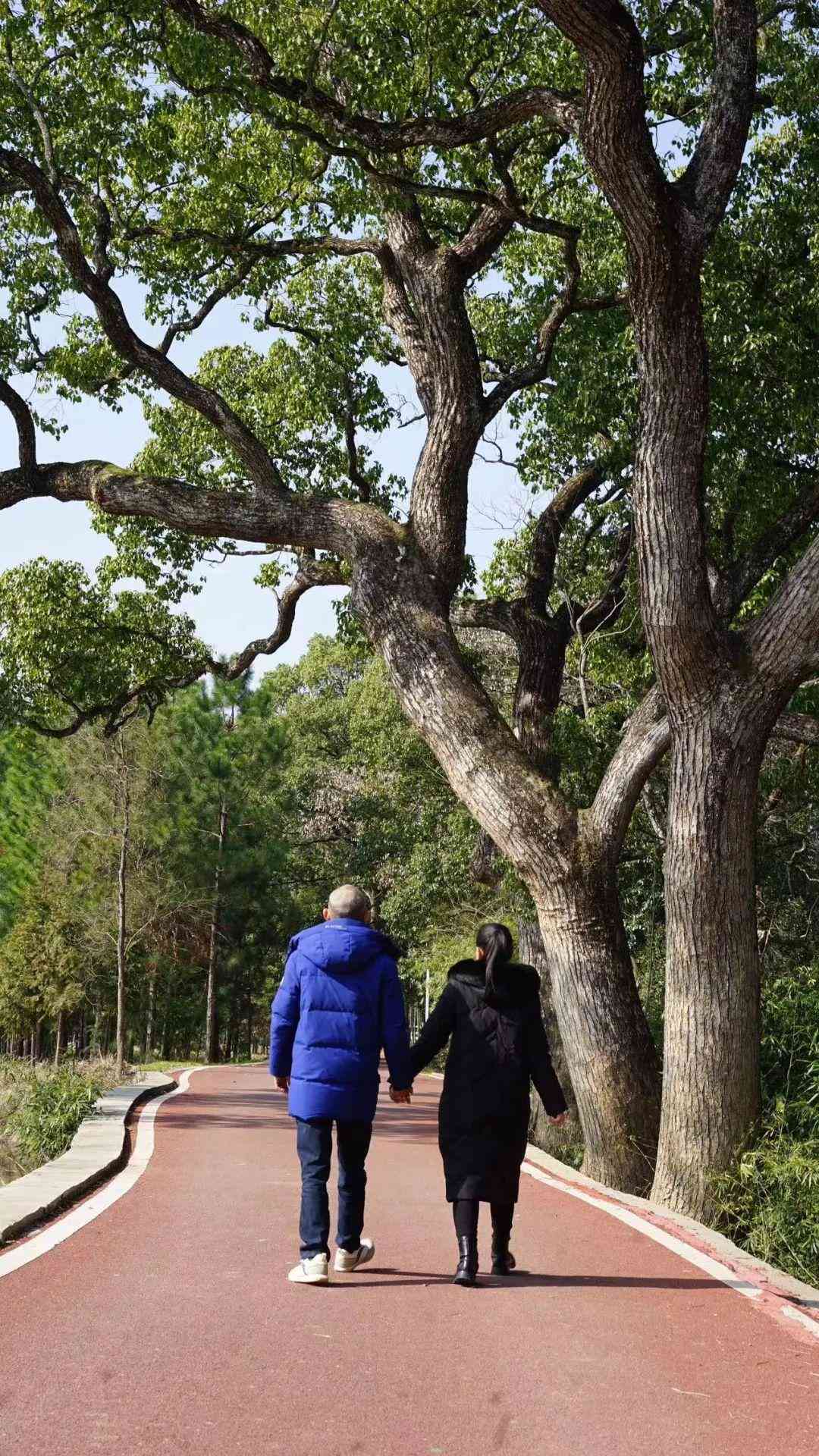 白金耳钉大概多少钱(白金耳钉好处)插图10 白金耳钉大概多少钱(白金耳钉好处)插图10