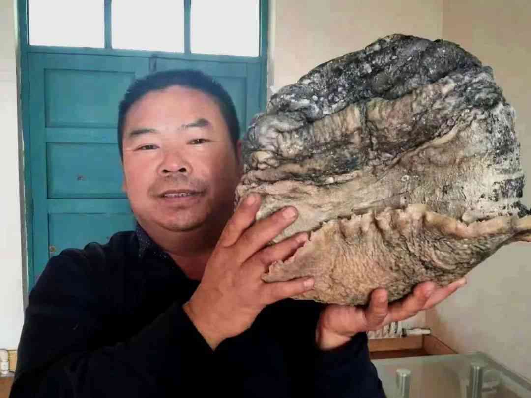 那种黑色石头值钱(那种黑色石头值钱大全)插图2