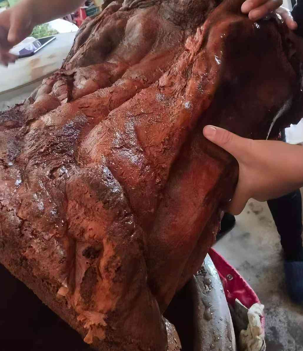 那种黑色石头值钱(那种黑色石头值钱大全)插图9