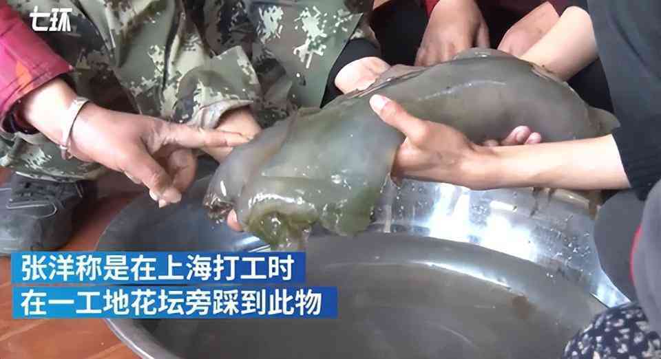 那种黑色石头值钱(那种黑色石头值钱大全)插图10