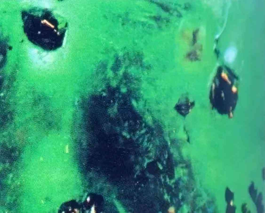 祖母绿戒指一般多少钱(祖母绿戒指一般多少钱一对)插图12