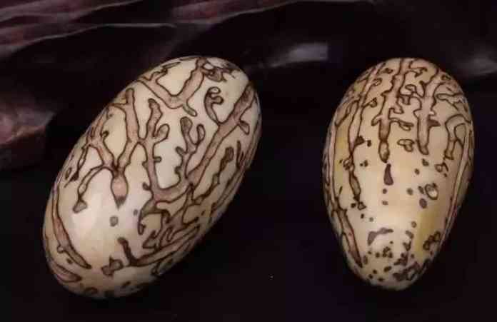 菩提子手串有什么好处(怎么鉴定菩提根手串真假)插图3