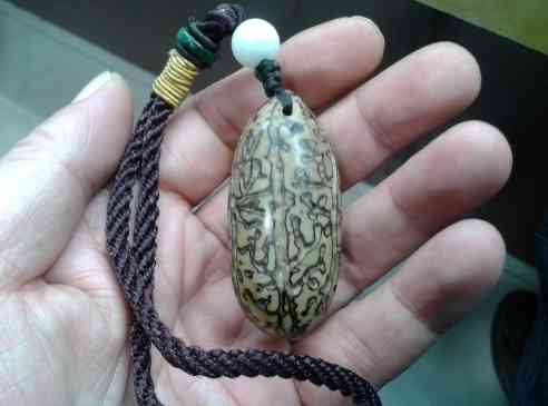 菩提子手串有什么好处(怎么鉴定菩提根手串真假)插图4