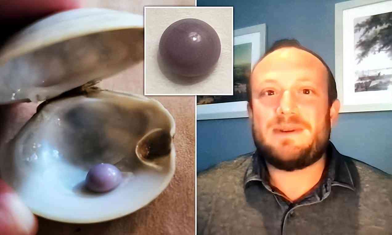 珍珠的价格多少钱一粒(真正的珍珠项链多少钱)