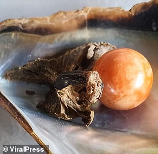 珍珠的价格多少钱一粒(真正的珍珠项链多少钱)插图4 珍珠的价格多少钱一粒(真正的珍珠项链多少钱)插图4