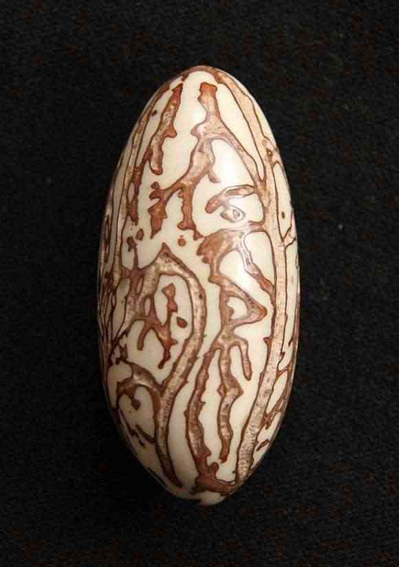 千眼菩提什么纹是极品(把千眼菩提送人能害人)插图1