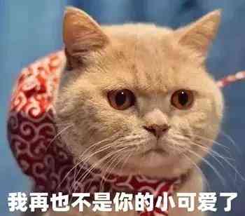 天使之吻胎记(红色胎记手按压就消失)插图1 天使之吻胎记(红色胎记手按压就消失)插图1