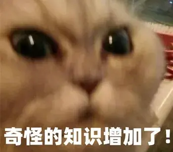 天使之吻胎记(红色胎记手按压就消失)插图8 天使之吻胎记(红色胎记手按压就消失)插图8