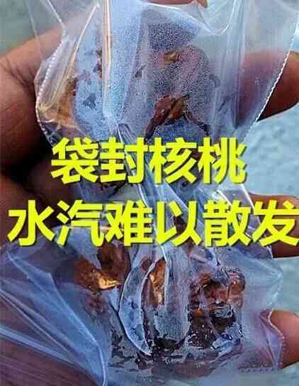 千眼菩提的危害(菩提子不能乱戴)插图9 千眼菩提的危害(菩提子不能乱戴)插图9