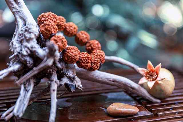 千眼菩提的危害(菩提子不能乱戴)插图17 千眼菩提的危害(菩提子不能乱戴)插图17