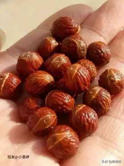 菩提手串种类(金刚菩提手串多少颗好)插图19