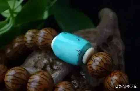 菩提手串种类(金刚菩提手串多少颗好)插图26