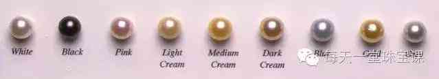 几百块钱的大溪地珍珠(大溪地珍珠14mm的价钱)插图5