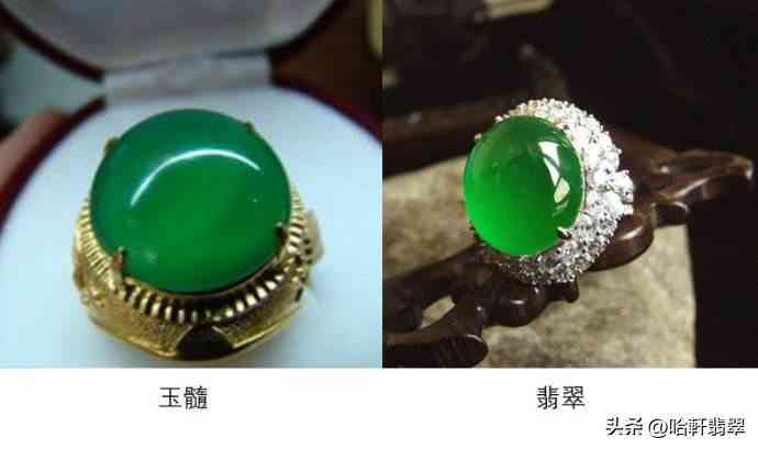 珠宝大家坛翡翠(珠宝大家坛被攻击)插图7