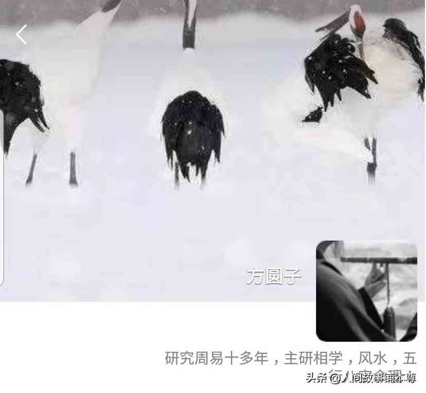 粉晶狐狸多久认主人(粉晶狐狸碎了说明什么)插图2