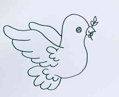 鸽子简笔画(鸽子简笔画涂色)插图2