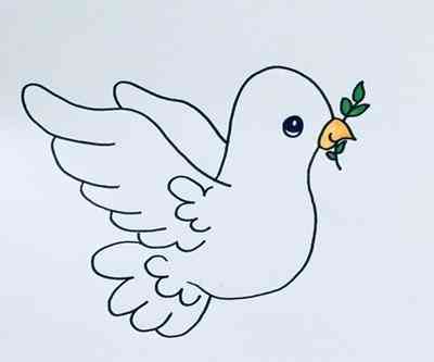 鸽子简笔画(鸽子简笔画涂色)插图3