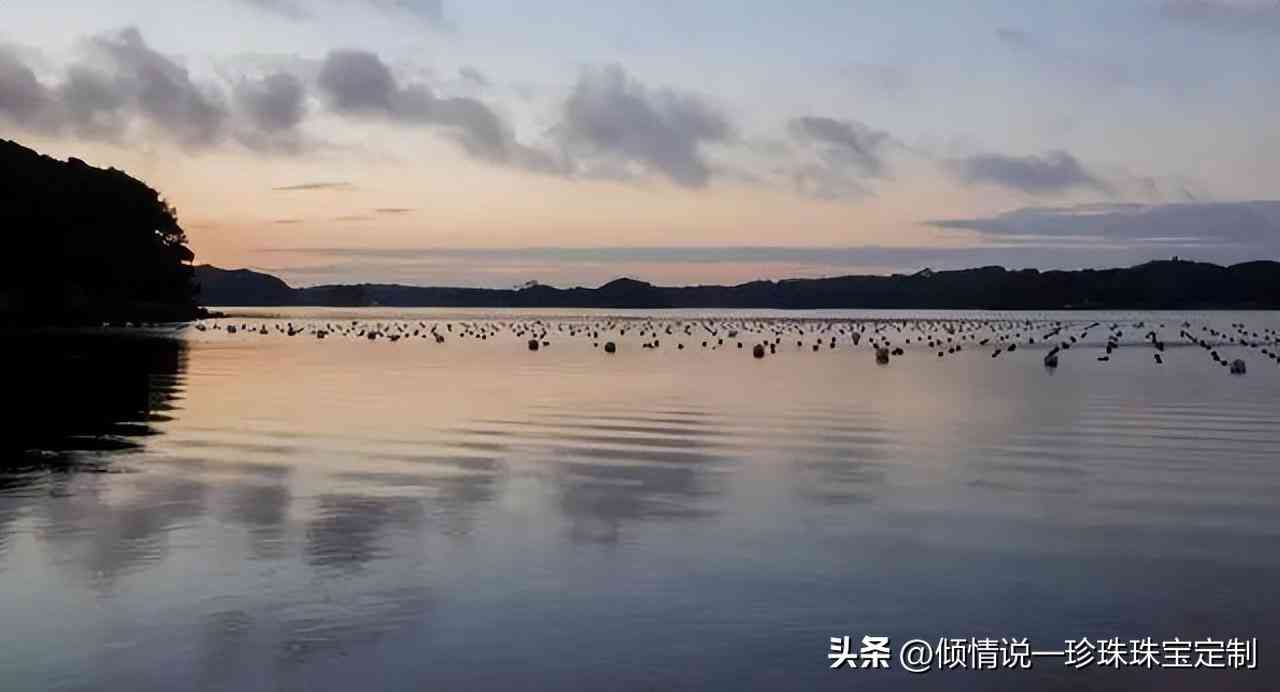 最漂亮的珍珠项链(珍珠最不值钱的颜色)插图17