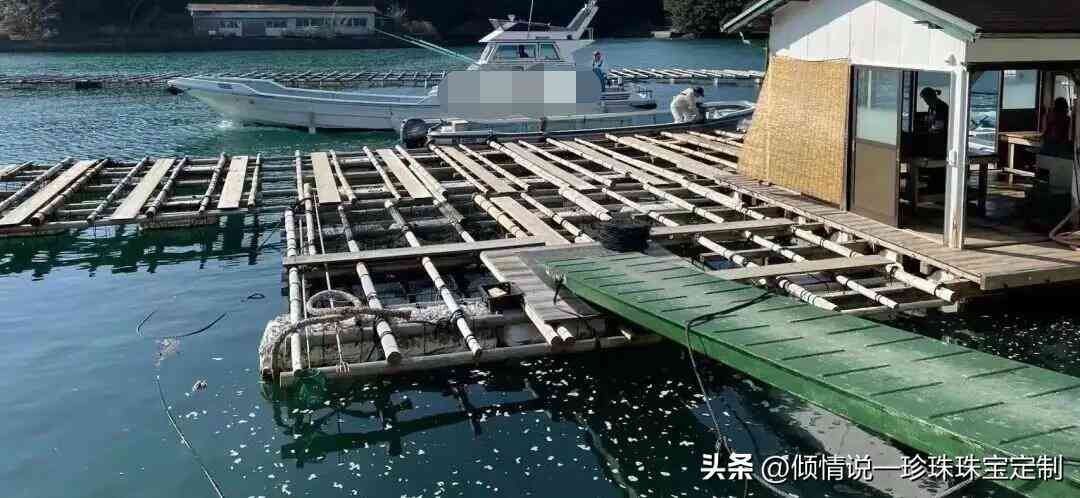 最漂亮的珍珠项链(珍珠最不值钱的颜色)插图24