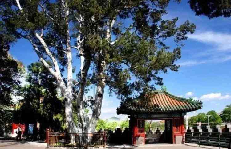 100亿天价玉石(老玉件真品图片大全)插图1