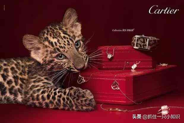 bvlgari怎么读(bvlgari怎么读英语啥意思)插图9