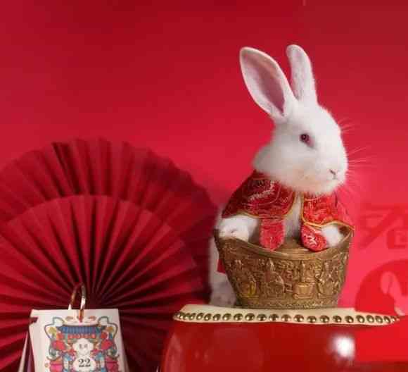 红玛瑙手链(红玛瑙手链的功效与作用佩戴禁忌)