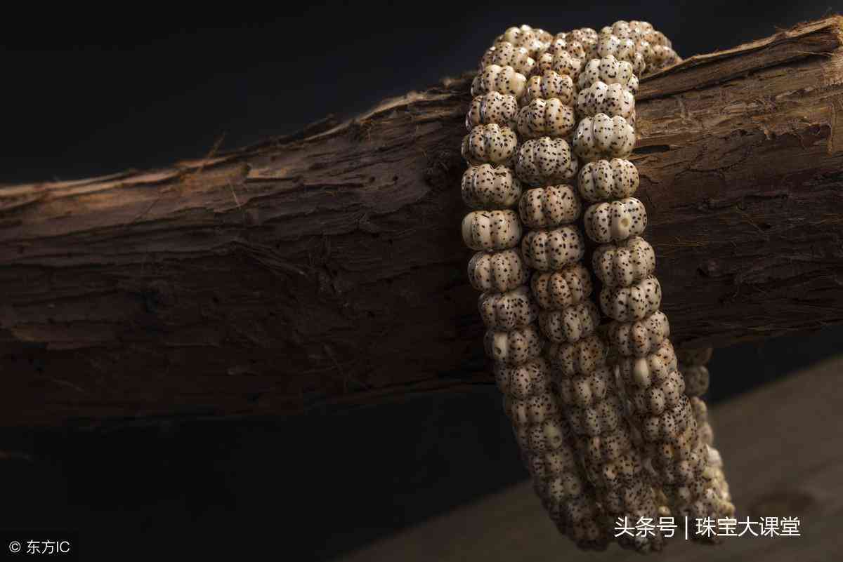 星月菩提子怎么盘(星月菩提盘出来的效果图)插图3 星月菩提子怎么盘(星月菩提盘出来的效果图)插图3