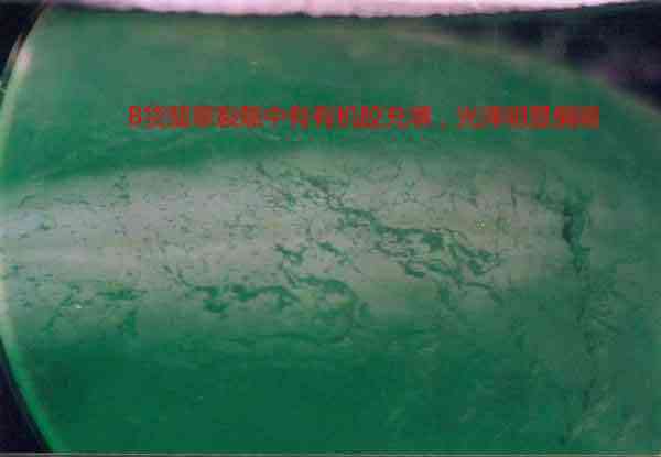 缅甸翡翠的鉴别知识(缅甸翡翠的鉴别知识有哪些)插图8