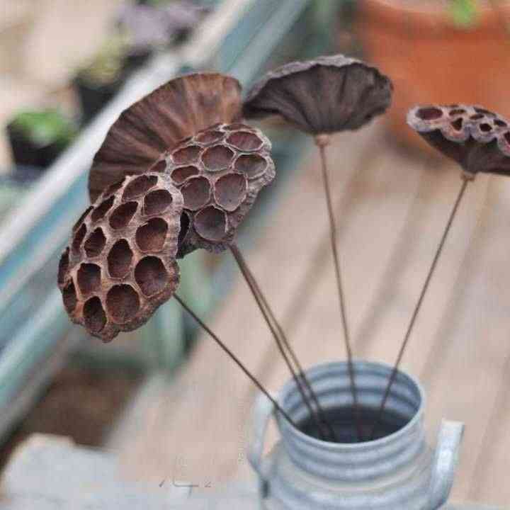 紫水晶的含义(紫水晶代表的意义)插图6