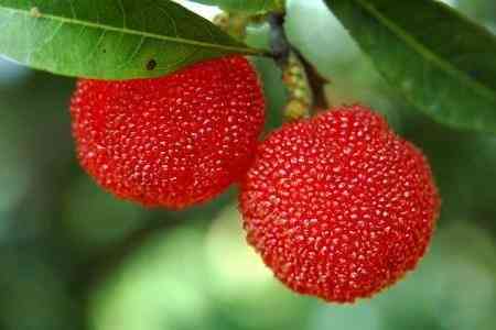 紫水晶的含义(紫水晶代表的意义)插图13