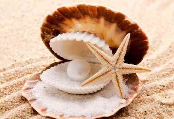 海水珍珠好还是淡水珍珠好(佩戴海水珍珠好还是淡水珍珠好)插图1 海水珍珠好还是淡水珍珠好(佩戴海水珍珠好还是淡水珍珠好)插图1