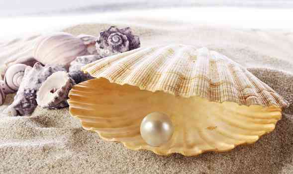 海水珍珠好还是淡水珍珠好(佩戴海水珍珠好还是淡水珍珠好)插图3 海水珍珠好还是淡水珍珠好(佩戴海水珍珠好还是淡水珍珠好)插图3