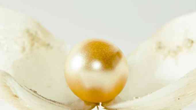 海水珍珠好还是淡水珍珠好(佩戴海水珍珠好还是淡水珍珠好)插图4 海水珍珠好还是淡水珍珠好(佩戴海水珍珠好还是淡水珍珠好)插图4