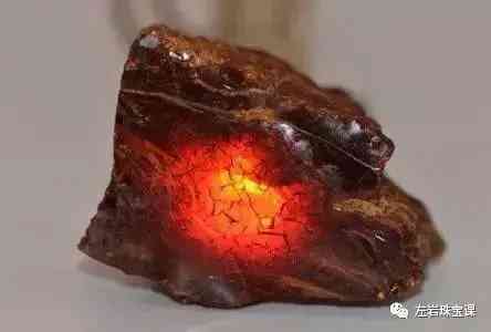 波罗的海血珀(波罗的海血珀有风化纹吗)插图9 波罗的海血珀(波罗的海血珀有风化纹吗)插图9