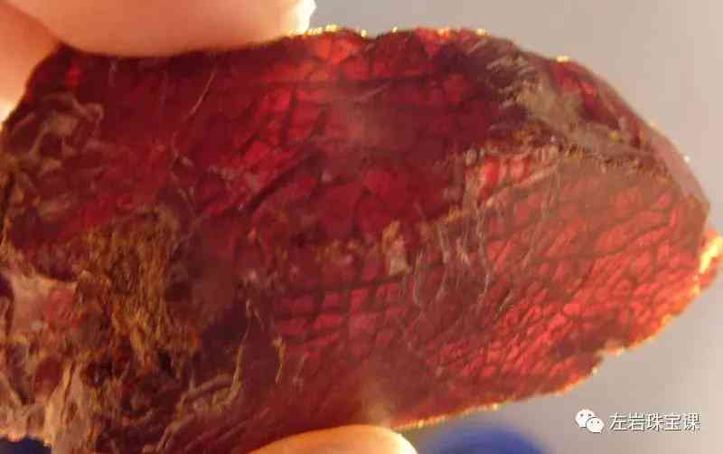 波罗的海血珀(波罗的海血珀有风化纹吗)插图15 波罗的海血珀(波罗的海血珀有风化纹吗)插图15