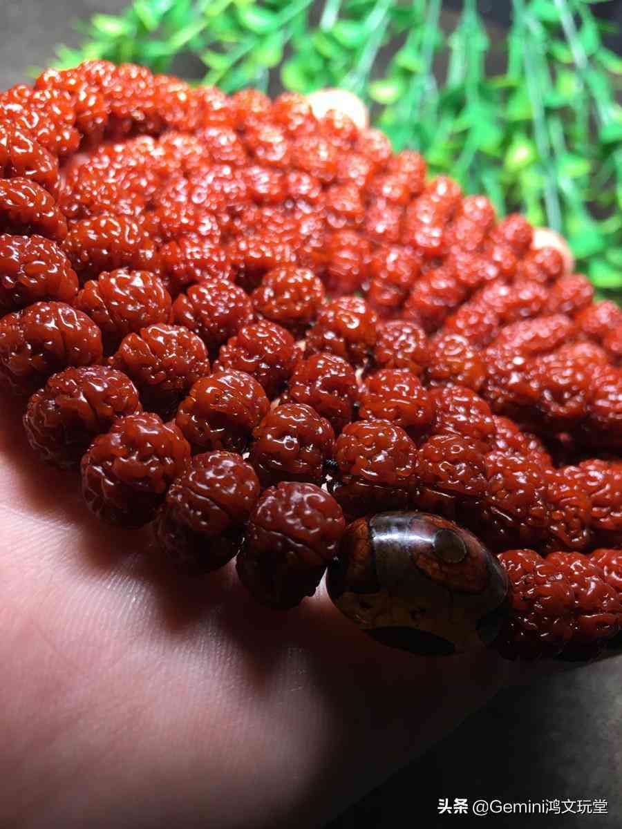 金刚菩提子怎么盘(金刚菩提子怎么盘玩)插图2 金刚菩提子怎么盘(金刚菩提子怎么盘玩)插图2