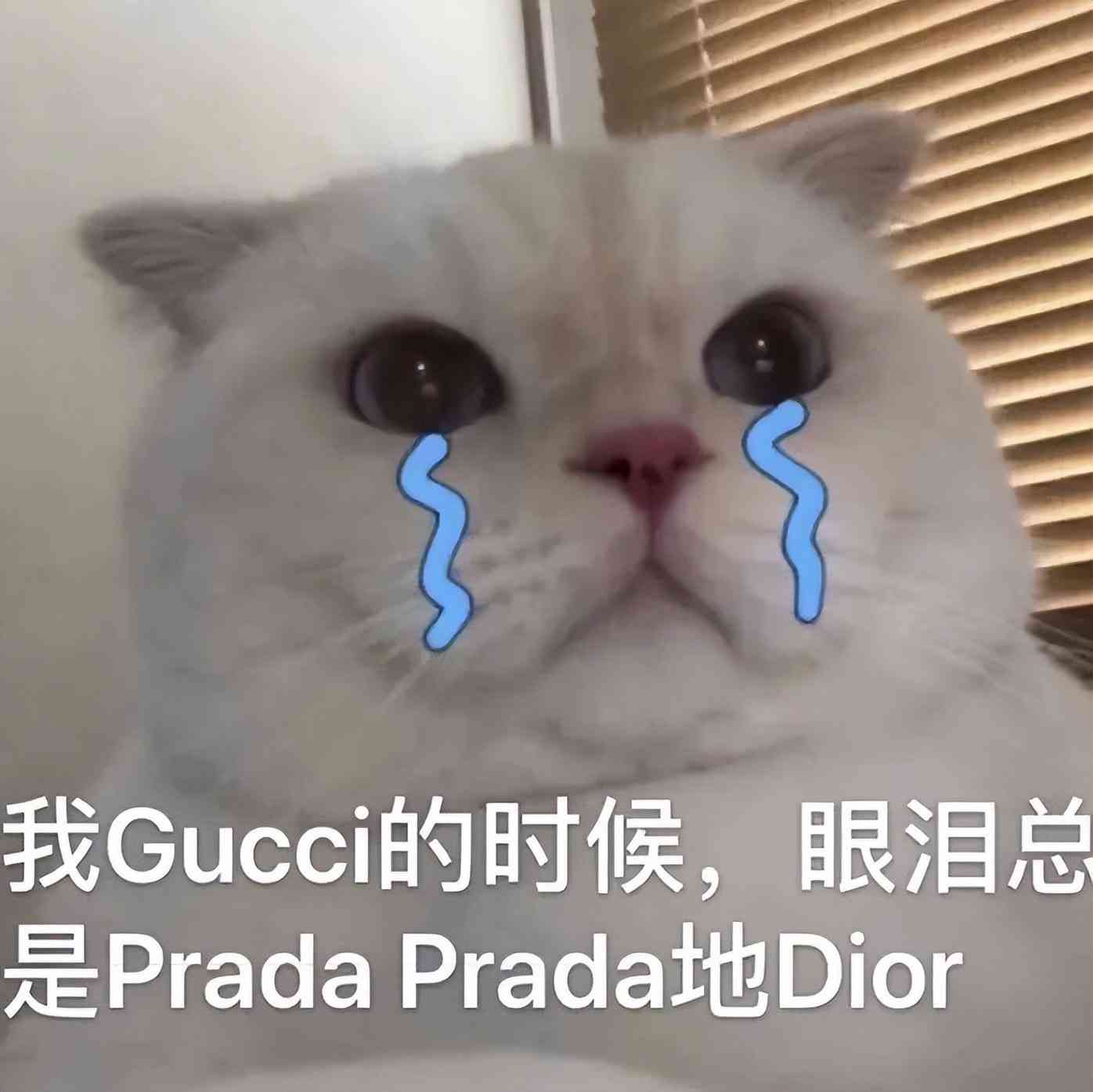 宝格丽戒指什么材质(宝格丽戒指贵不贵)插图6 宝格丽戒指什么材质(宝格丽戒指贵不贵)插图6