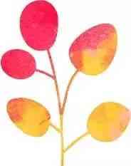 通灵珠宝代言人(通灵珠宝代言人有哪些)插图10