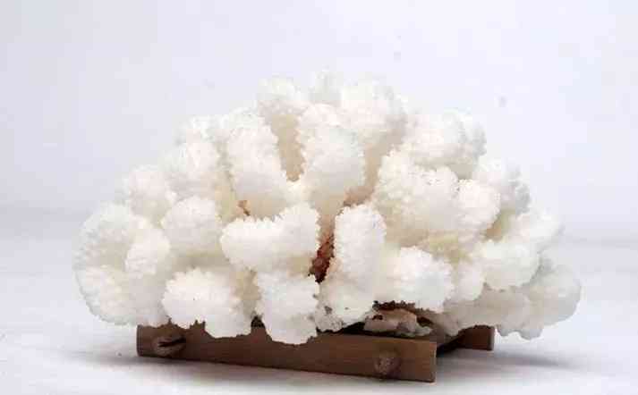 紫水晶和黄水晶哪个更招财(黄水晶适合什么属相的人)插图27 紫水晶和黄水晶哪个更招财(黄水晶适合什么属相的人)插图27