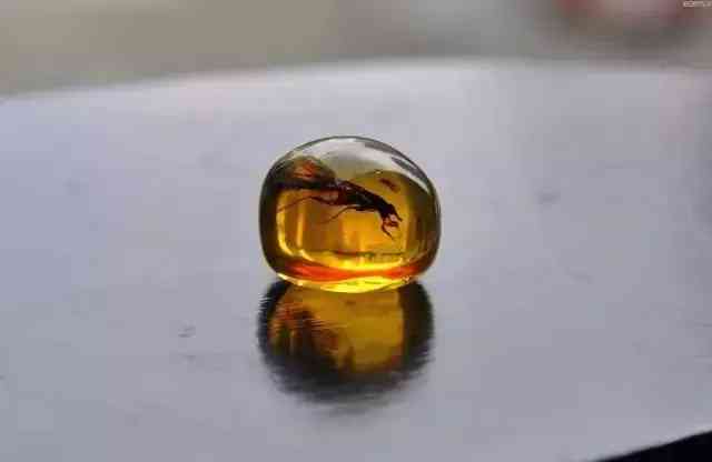 紫水晶和黄水晶哪个更招财(黄水晶适合什么属相的人)插图37 紫水晶和黄水晶哪个更招财(黄水晶适合什么属相的人)插图37