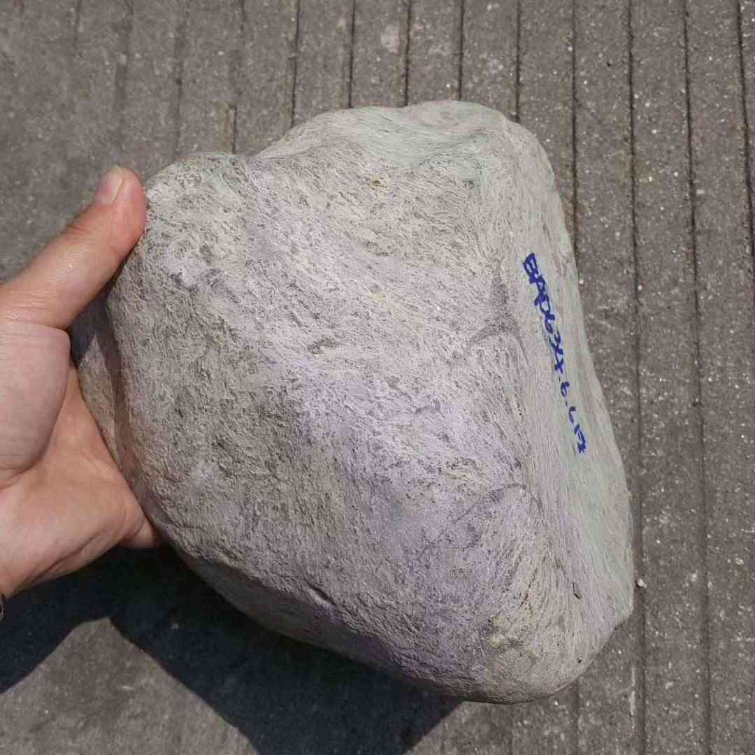 翡翠原石皮壳大全(翡翠原石多少钱一公斤)