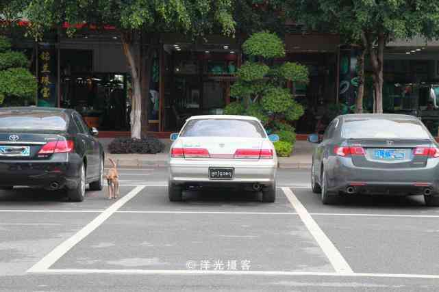 哪里的玉手镯最好(哪里的玉手镯最好最便宜)插图4 哪里的玉手镯最好(哪里的玉手镯最好最便宜)插图4