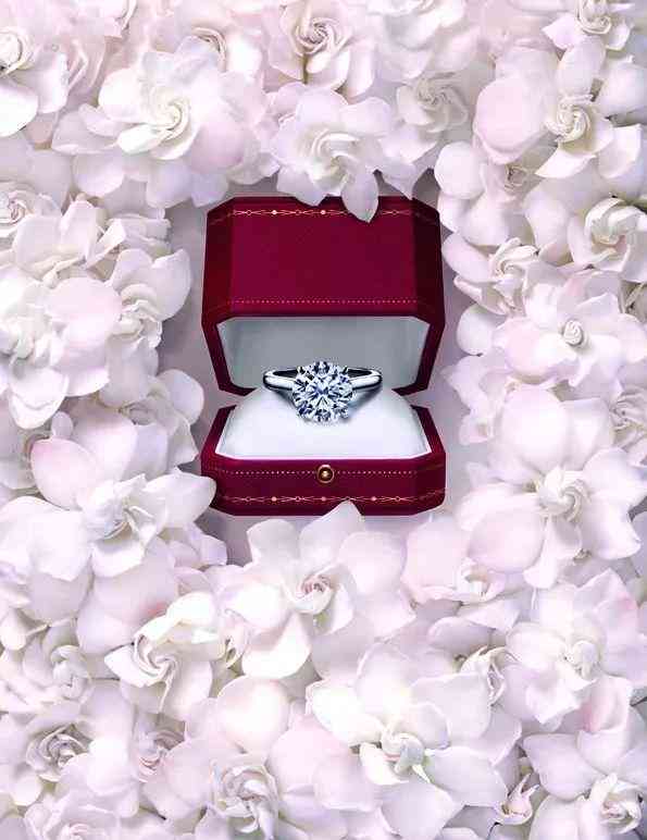 harrywinston对戒价格(harrywinston结婚对戒多少钱)插图11 harrywinston对戒价格(harrywinston结婚对戒多少钱)插图11