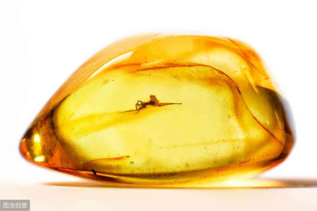 琥珀琥珀是怎样形成的(琥珀是怎么形成的)