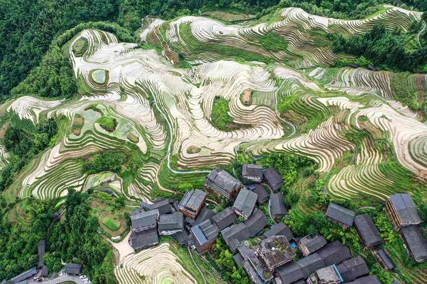 桂林鸡血玉全是假的(三种女人不适合戴玉)