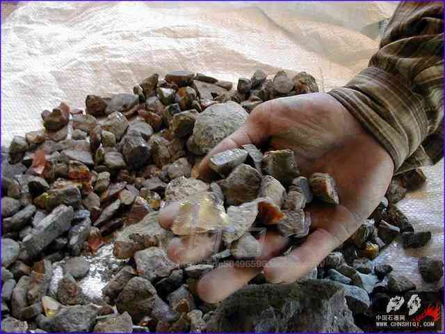 血琥珀的价格是多少一克(血琥珀价格多少钱一克)插图7 血琥珀的价格是多少一克(血琥珀价格多少钱一克)插图7