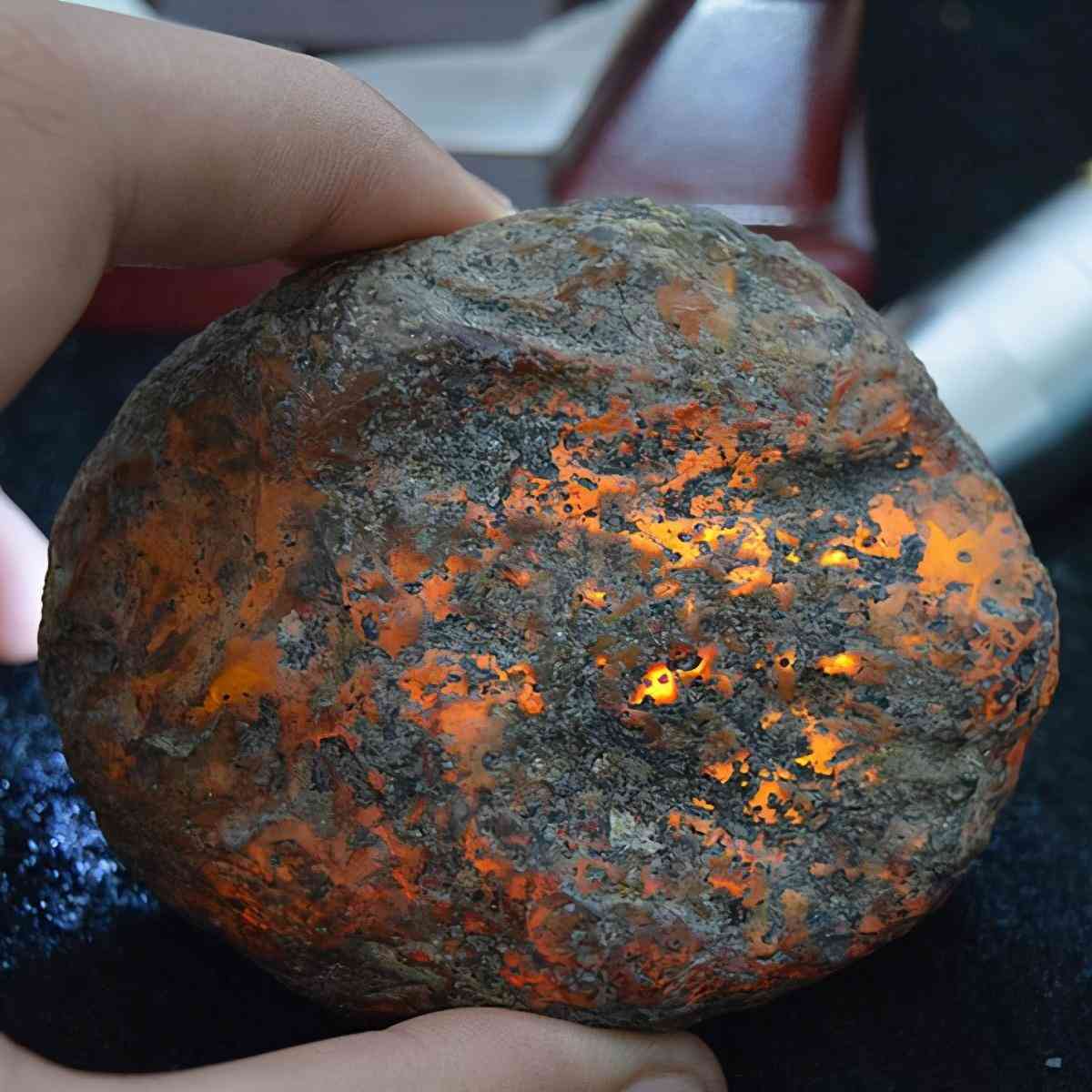 血琥珀的价格是多少一克(血琥珀价格多少钱一克)插图8 血琥珀的价格是多少一克(血琥珀价格多少钱一克)插图8