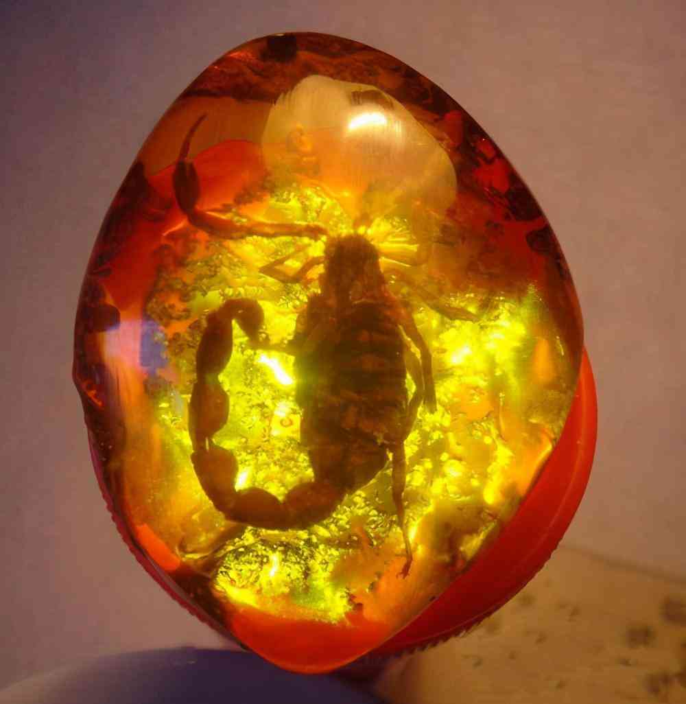 血琥珀的价格是多少一克(血琥珀价格多少钱一克)插图18 血琥珀的价格是多少一克(血琥珀价格多少钱一克)插图18