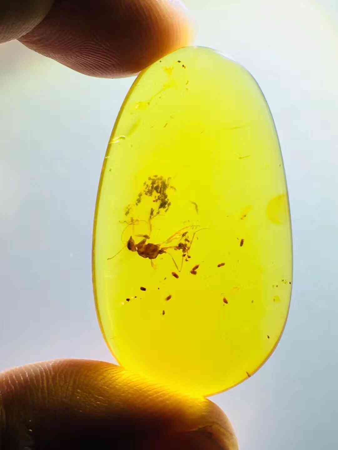 血琥珀的价格是多少一克(血琥珀价格多少钱一克)插图20 血琥珀的价格是多少一克(血琥珀价格多少钱一克)插图20