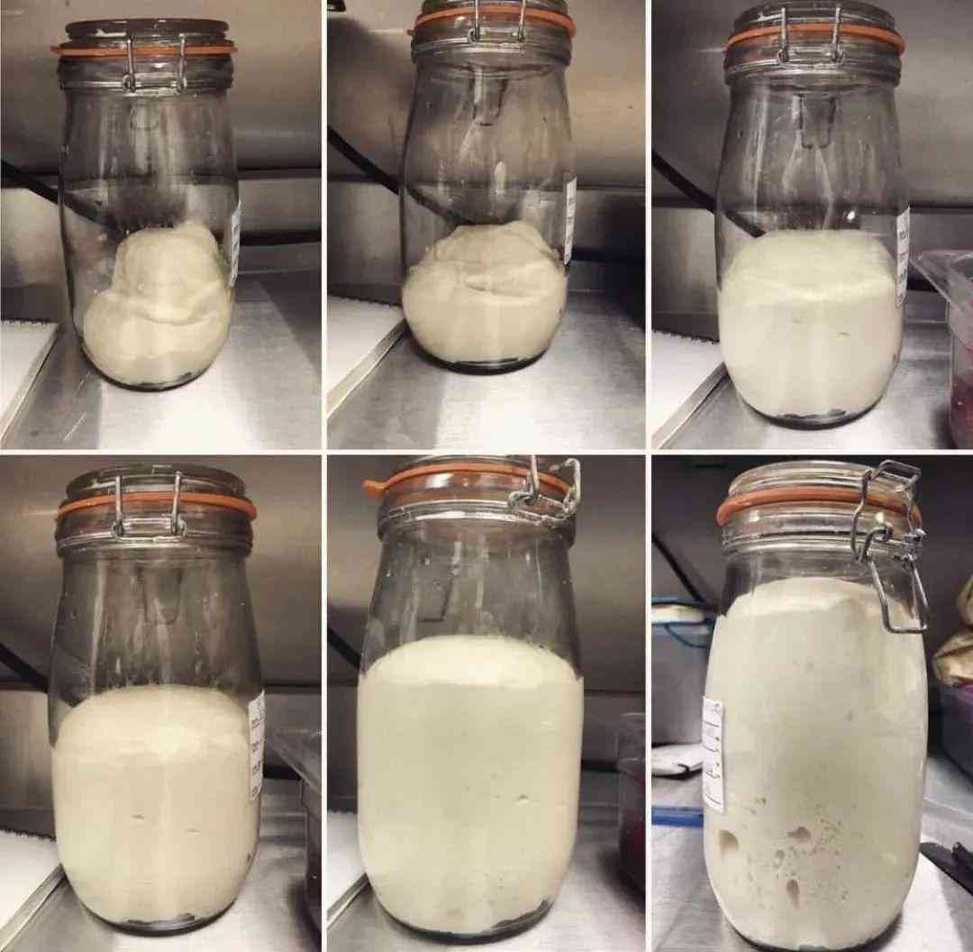 500g是多少盎司(500克等于多少盎司)插图4